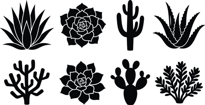 Collection of black cactus and succulent silhouettes including aloe vera agave and desert plant vector elements isolated on white background