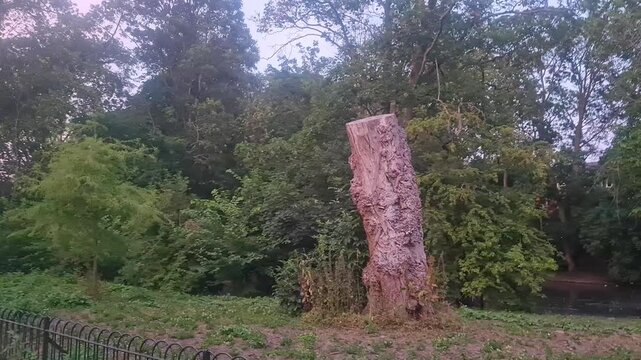Trees at Local Public Park of Luton City England UK, Footage Was Captured During Walk on July 9th, 2026