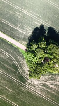 High-angle perspective of the long straight path to Bj&auml;rka-S&auml;by Castle, south of Link&ouml;ping. Professional drone showcasing the countryside landscape of &Ouml;sterg&ouml;tland province.