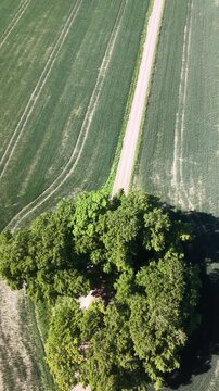 High-angle perspective of the long straight path to Bj&auml;rka-S&auml;by Castle, south of Link&ouml;ping. Professional drone showcasing the countryside landscape of &Ouml;sterg&ouml;tland province.