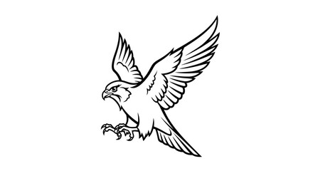 Obraz premium Flying falcon bird prey line art illustration.