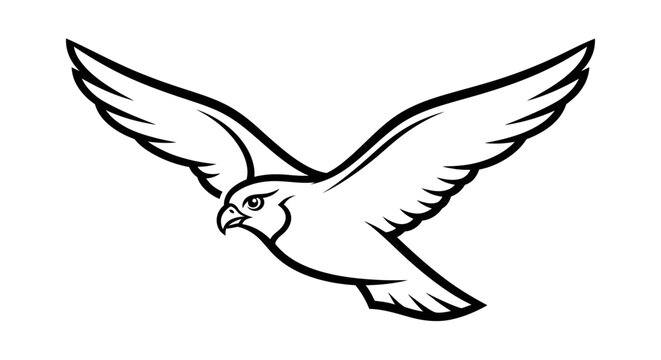 Flying hawk bird of prey silhouette illustration