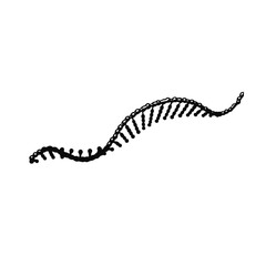 Naklejka premium DNA strand exhibits a complex double helix structure that represents the fundamental biological building blocks of life within a modern scientific research laboratory context.