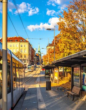 Tram on a City Street During Autumn with Trees and Buildings