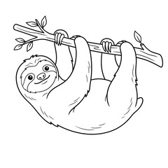 Fototapeta premium sloth hanging line art vector illustration