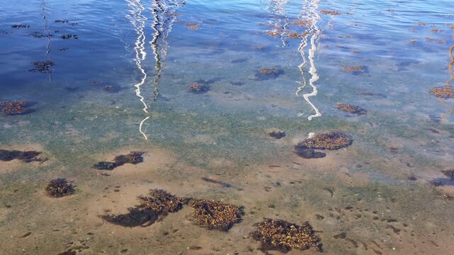 Sailing yacht masts reflecting in clear Baltic Sea water