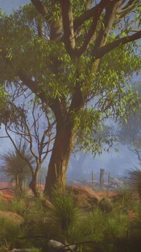 A eucalyptus tree rises prominently in a misty landscape at dusk. Surrounding plants and grass create a natural scene with soft fog. The atmosphere is quiet and serene.