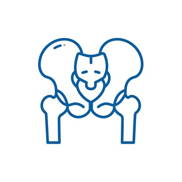 Human Pelvis Outline Illustration