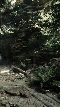 A natural pathway leads into a dense forest. The trail is lined with rocks, ferns, and green plants. Sunlight filters through the trees, illuminating the cave entrance in the distance.