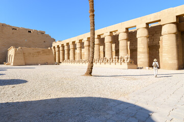 The Great Forecourt First Courtyard with stone pillars with papyrus capitals alongside a row of ram-headed sphinx statues inside the Karnak Temple Complex in Luxor, Egypt. © Kirk Fisher
