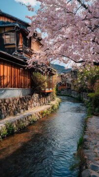 A serene village street lined with traditional wooden buildings and a gently flowing river under the soft canopy of pink blossoms.