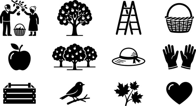 Set of black and white autumn apple orchard harvesting icons.