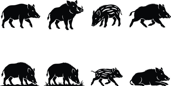 Vector silhouette collection of wild boars, feral hogs, and striped piglets in various walking, running, and resting poses