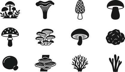Set of black and white mushroom icons and fungus illustrations. © acehair