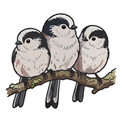 Three Long Tailed Tits Perching On Branch © priska