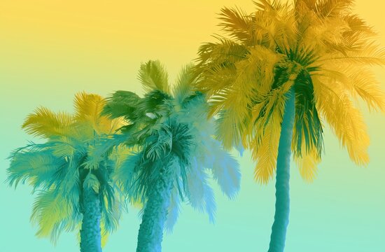 three palm trees captured from a worm's eye perspective, set against a smooth gradient background the entire image has a soft, dreamlike overlay effect Generative AI