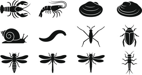Collection of various invertebrate animals and insect silhouette icons. © Merah