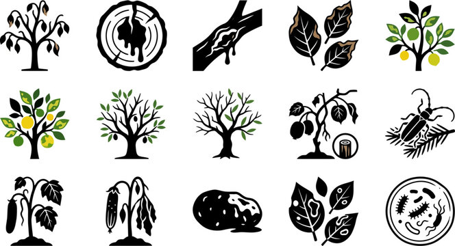 Set of agriculture plant diseases and tree pests vector icons.