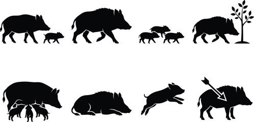 Vector collection of wild boar silhouettes featuring family groups, piglets, nursing sows, and hunting design elements © Rokon