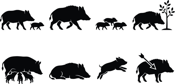 Vector collection of wild boar silhouettes featuring family groups, piglets, nursing sows, and hunting design elements