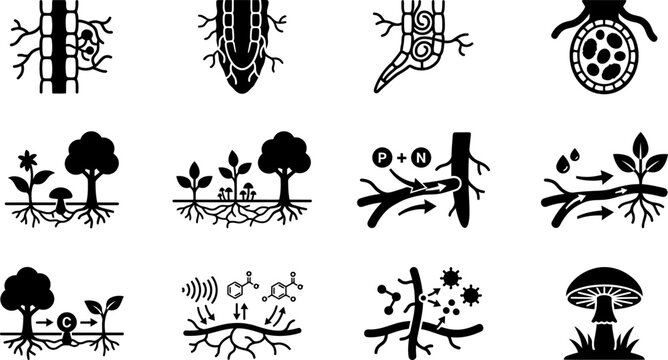 Set of black and white icons representing mycorrhizal fungi and plant symbiosis.