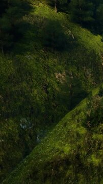 Green hills rise steeply on either side of a narrow valley. Small trees and plants dot the landscape as sunlight brightens the scene. This place appears untouched and natural.