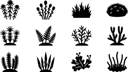Set of black silhouettes of aquatic plants and seaweeds. © Wali