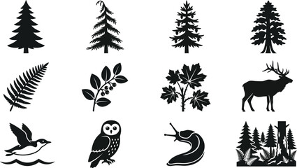 Set of vector forest icons featuring coniferous trees wildlife animals and plants. © Wali