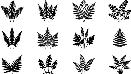 Collection of fern leaf silhouettes in various shapes. © Wali