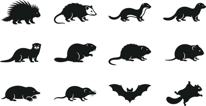 Set of wild animals and rodents silhouettes collection.