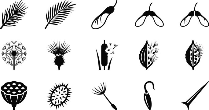Set of various plant seeds and fruit icons in black and white.
