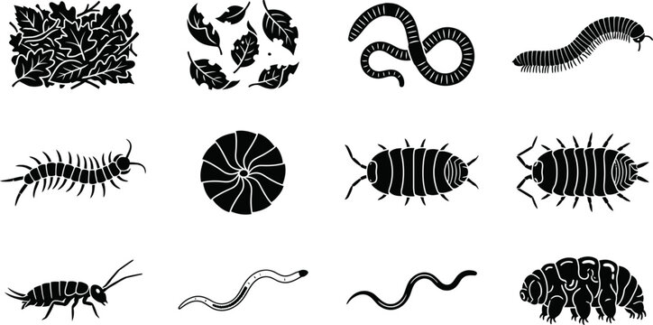 Collection of soil dwelling invertebrates and leaf litter silhouettes.