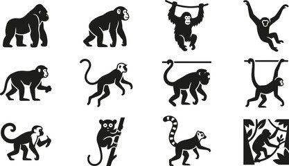 Collection of black and white monkey and primate silhouette icons. © jenci