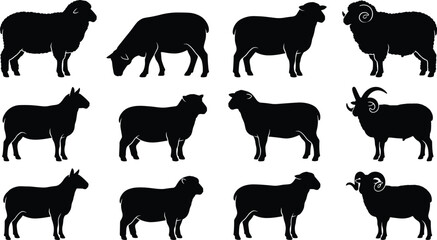 Vector collection of black farm animal silhouettes featuring domestic sheep, lambs, and horned rams in various poses © Rokon