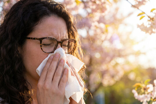 Close up of a woman with glasses blowing her nose into a white tissue near blooming pink trees