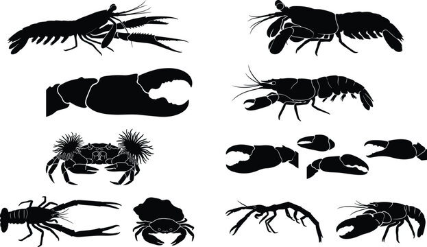 Solid black silhouette collection of marine crustaceans featuring lobster, crab, crayfish, and claws in minimalist clean lines.