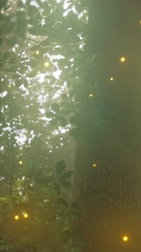 Sunlight breaks through the leaves of tall trees in a forest. The light creates a warm glow among the branches and green foliage. This scene captures a quiet moment in nature.