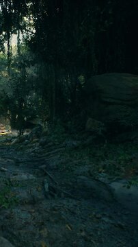 A narrow path winds through a dense forest. Sunlight filters through trees, while rocks and mud create an uneven surface. Leaves scatter along the ground, showing signs of nature.