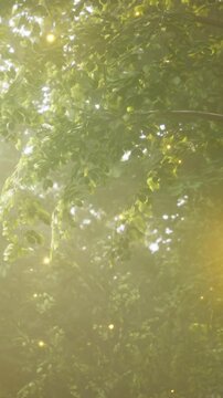 Bright light shines through green leaves in a forest. Small glowing spots appear in the air. Sunlight creates patterns as it shines among the branches and leaves.