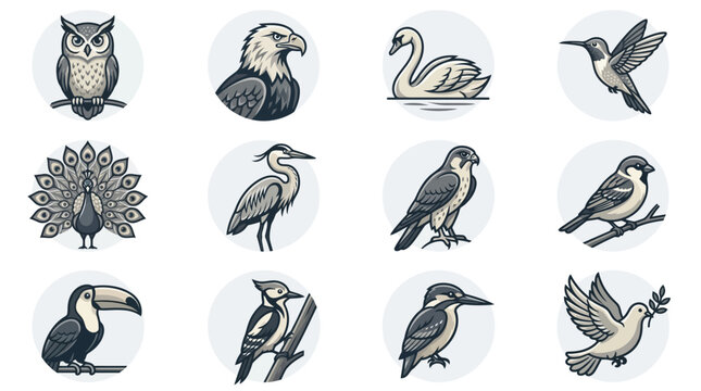 Bird species icons in circle frames.
