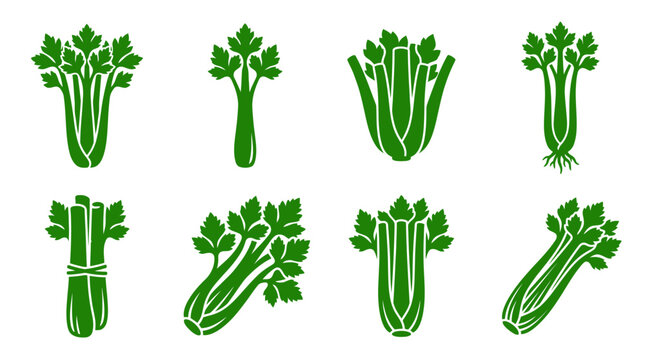 Green celery and herb vegetable icon set collection.