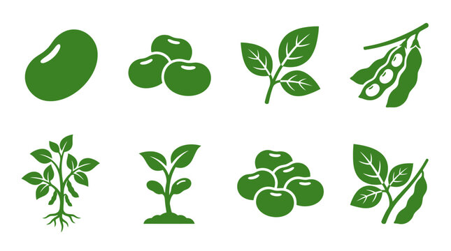 Lima bean and broad bean icons.