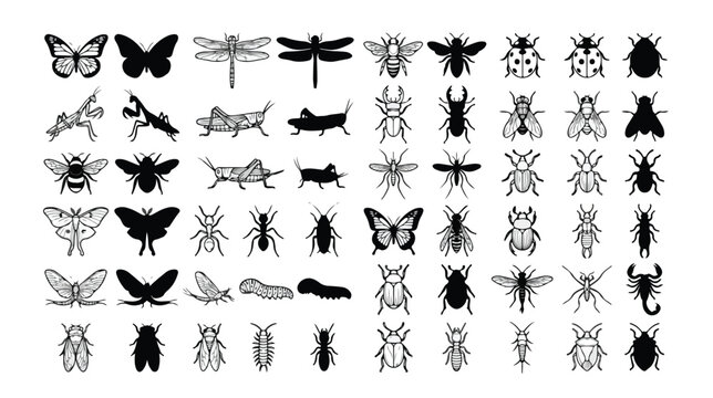 Black insect silhouettes and line art icons, 54 bug vector elements set, butterfly dragonfly and beetle symbols for nature education and logo design