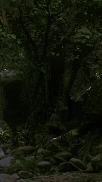 Green plants and trees surround a rocky area with a dark space. Sunlight filters through leaves, creating a natural setting. The scene shows the beauty of the forest ecosystem.