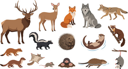 Fototapeta premium Collection of wild forest animals featuring deer wolf fox and other creatures in a clean flat vector graphic style design