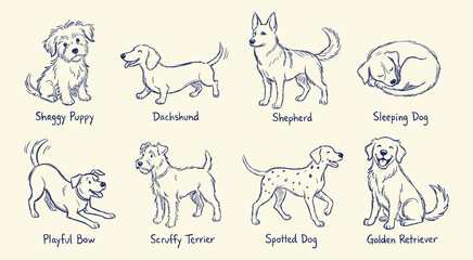 Fototapeta premium Dog breeds sketches set with dachshund shepherd dalmatian and golden retriever hand drawn design