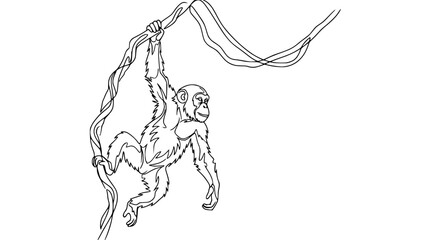 Obraz premium Chimpanzee hanging from vine, jungle animal, line art illustration, black and white