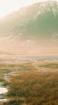 A wide view of grassland stretches out under gentle light. Mountains rise in the background. A creek flows through the grass. The scene shows the beauty of nature during the afternoon.