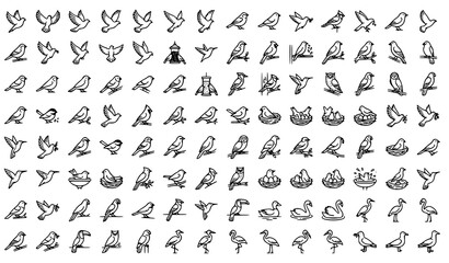 Bird Line Art Icon Set Editable Stroke Vector Collection © Mdyounus
