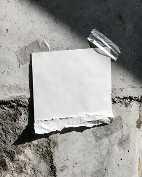 A white square piece of paper.